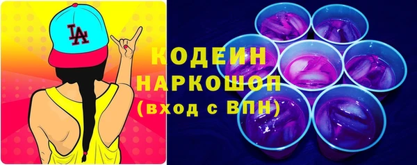 шишки Белокуриха