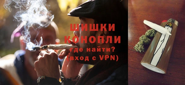 шишки Белокуриха