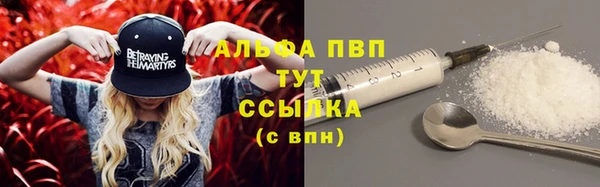 шишки Белокуриха