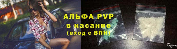 шишки Белокуриха