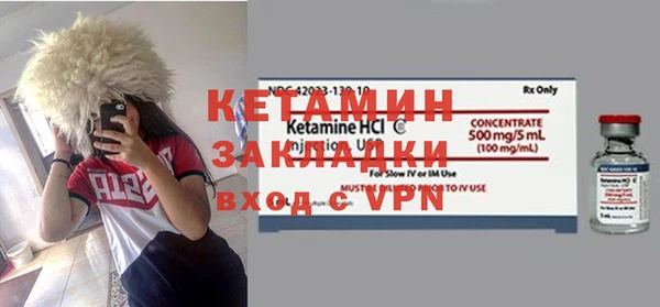 шишки Белокуриха