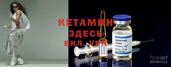 шишки Белокуриха