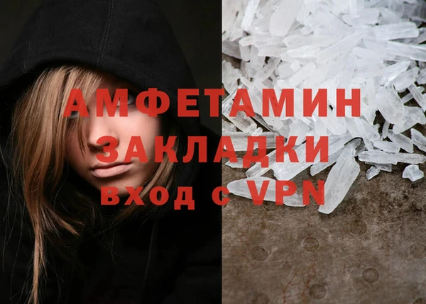 шишки Белокуриха