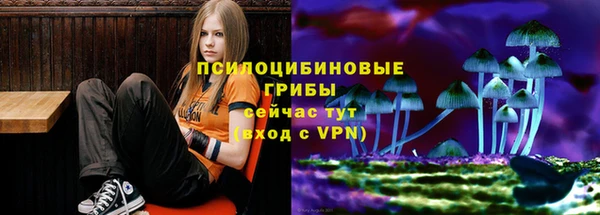 шишки Белокуриха