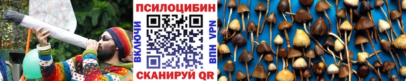 Галлюциногенные грибы Psilocybe Ершов