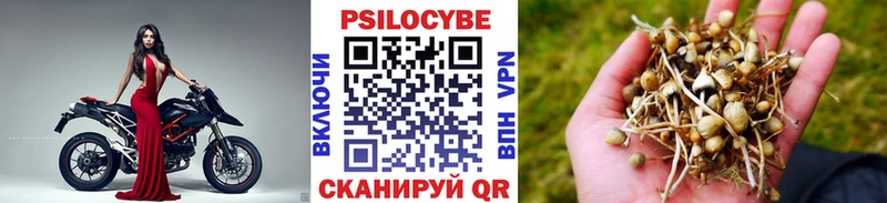 Галлюциногенные грибы MAGIC MUSHROOMS  купить закладку  маркетплейс телеграм  Ершов  кракен зеркало 
